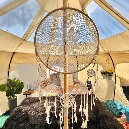 The Pisces-A Stargazing, Luxury Glamping Tent Rogersville Bagian luar foto