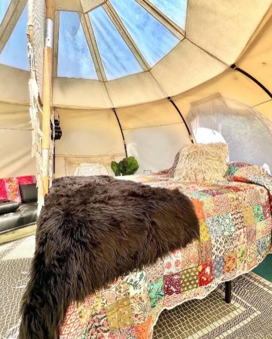 The Pisces-A Stargazing, Luxury Glamping Tent Rogersville Bagian luar foto