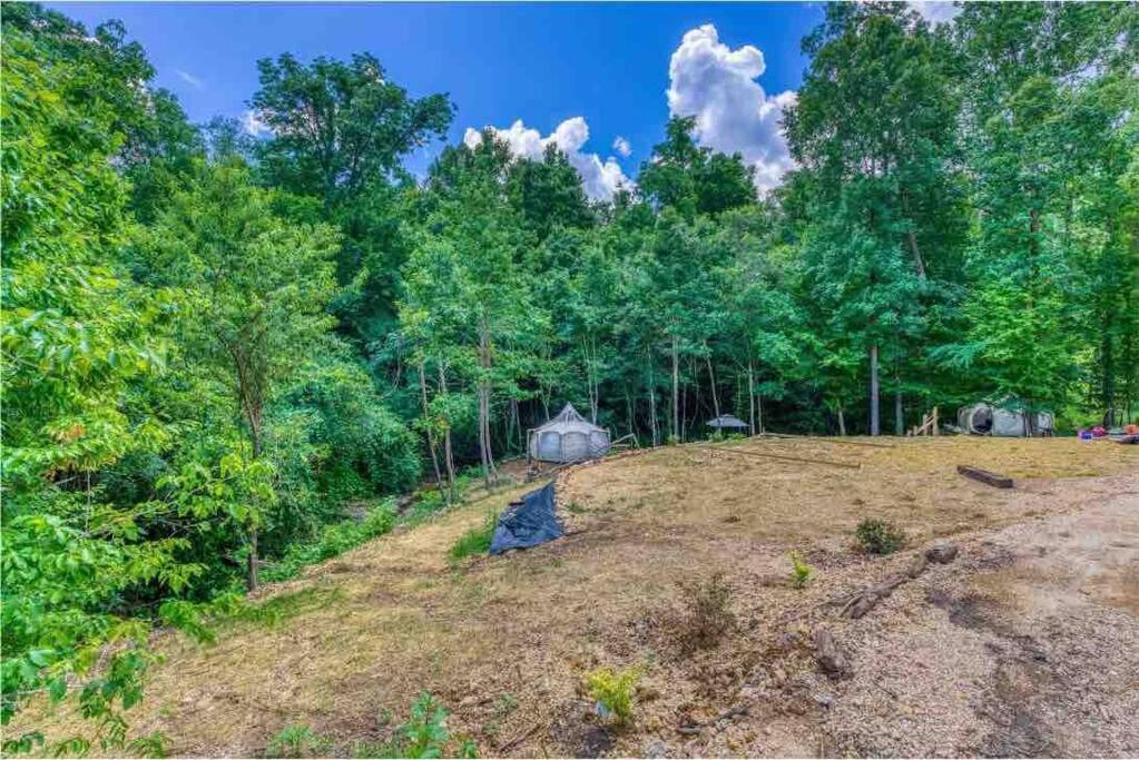 The Pisces-A Stargazing, Luxury Glamping Tent Rogersville Bagian luar foto