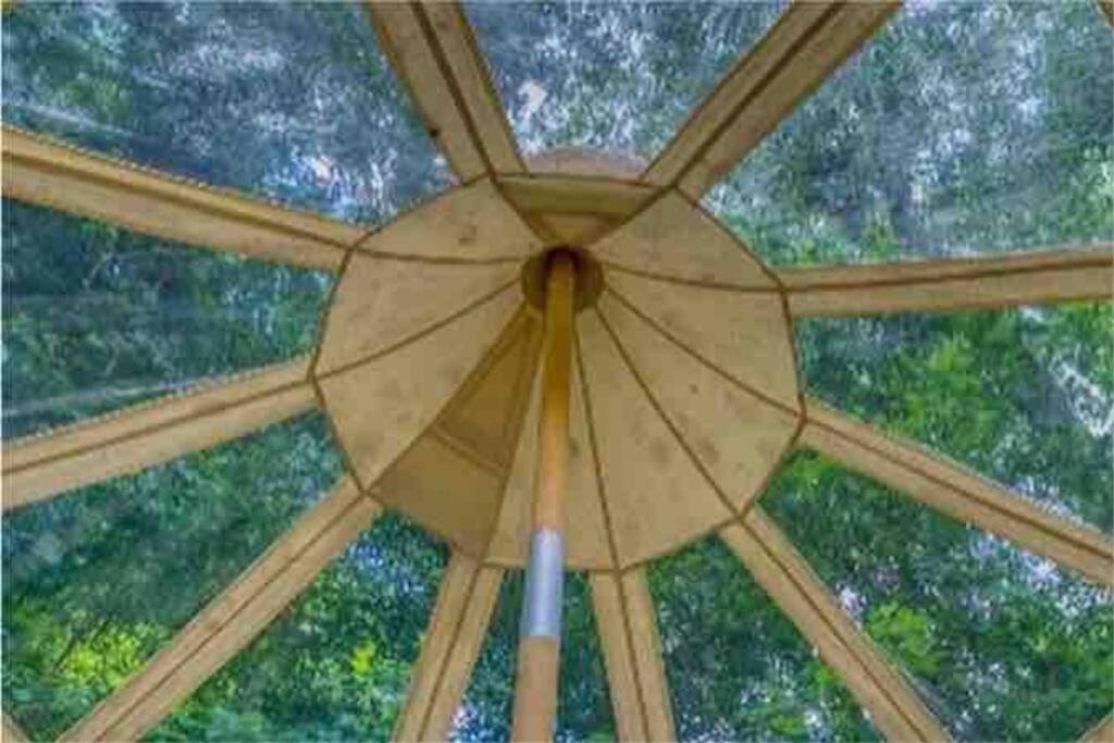 The Pisces-A Stargazing, Luxury Glamping Tent Rogersville Bagian luar foto